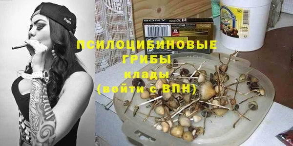 МДПВ Алзамай