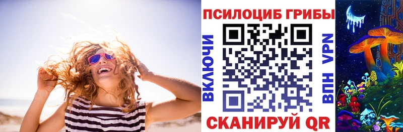 Псилоцибиновые грибы прущие грибы  Малаховка 